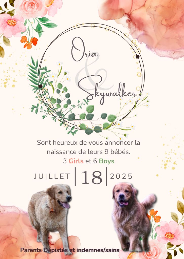 Nouveaux nés